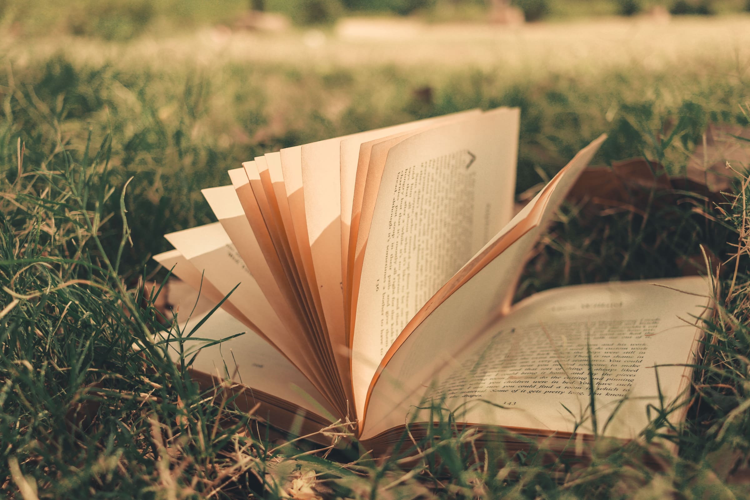 An open book fanned out in a sunlit meadow