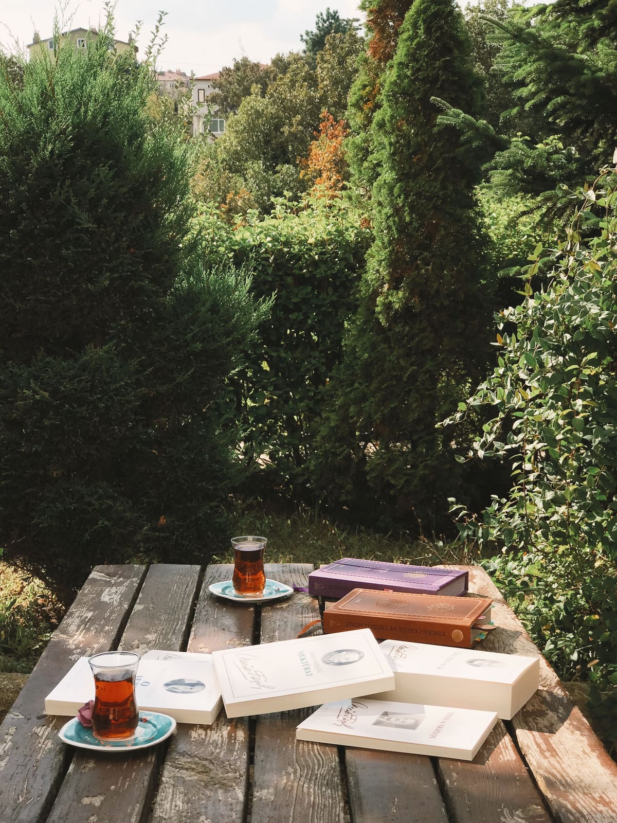 Books and tea laid out on a wooden table in a quiet garden